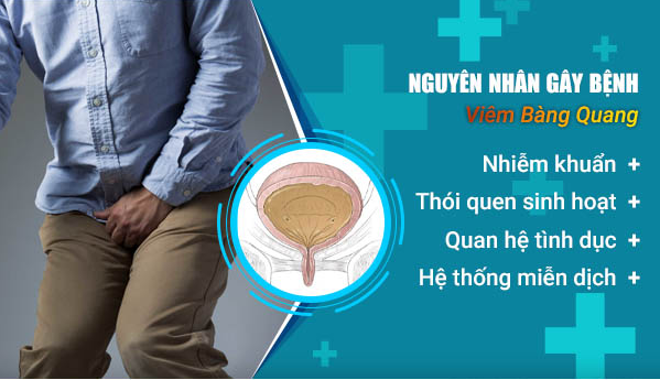 Nguyên nhân gây bệnh viêm bàng quang