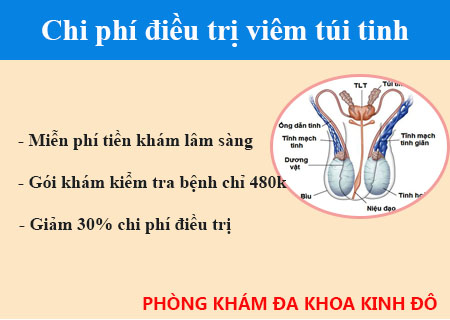 Chữa viêm túi tinh hết bao nhiêu tiền