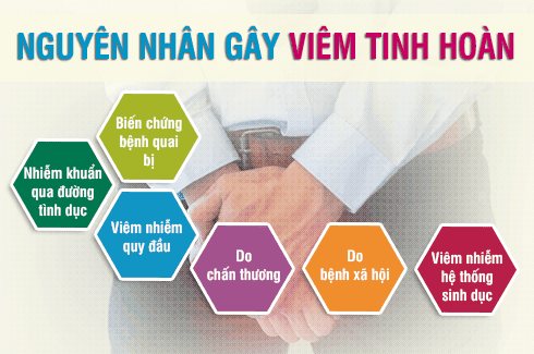 Nguyên nhân gây viêm tinh hoàn