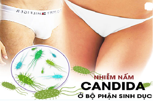 Tìm hiểu nấm Candida bộ phận sinh dục