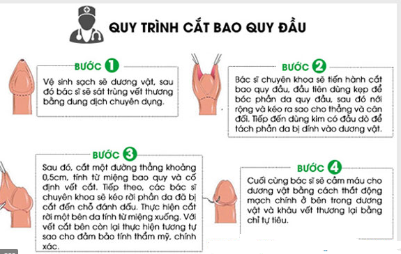 cach-cat-bao-quy-dau