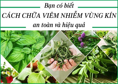 Phương pháp tổng hợp 6 trong 1 – diệt trừ t.ận g.ốc phiền toái do viêm vùng kín gây ra