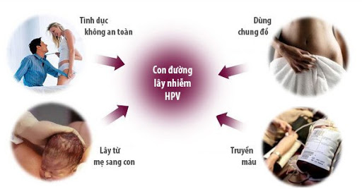 Nguyên nhân chính gây bệnh xã hội