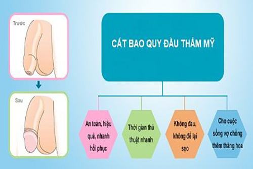 phuong-phap-cat-bao-quy-dau