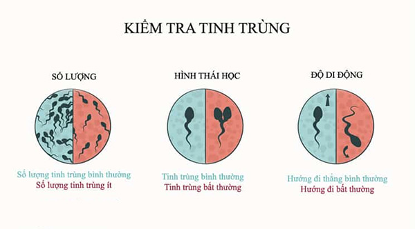 Tinh trùng dị dạng