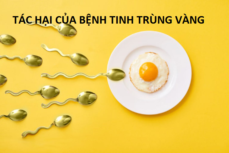 Tác hại của bệnh tinh trùng vàng